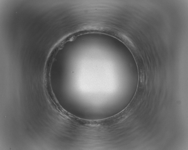 X0000073840388200608311940