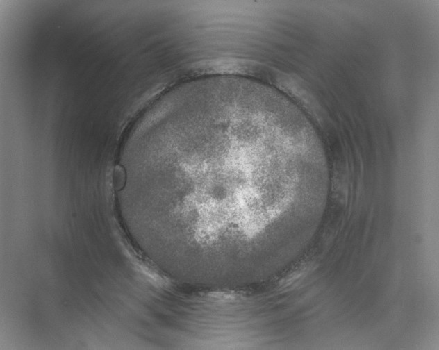 X0000073840394200608311940