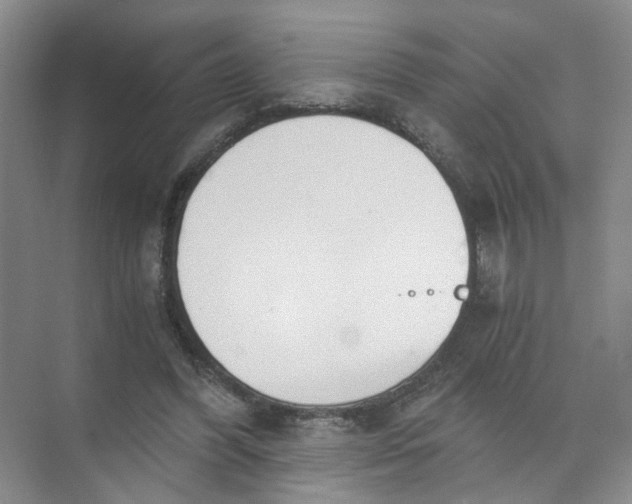 X0000073840396200608311940