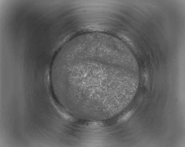 X0000073840398200608311940