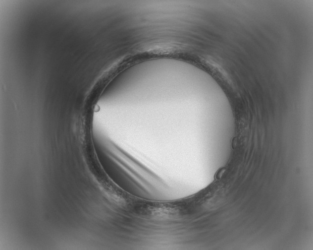 X0000073840400200608311940