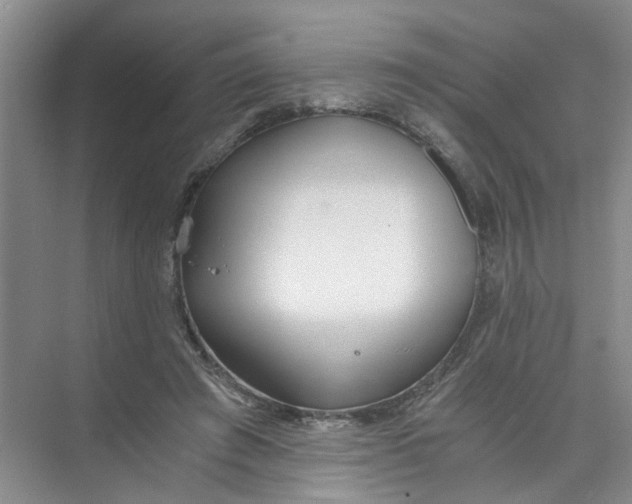 X0000073840401200608311940