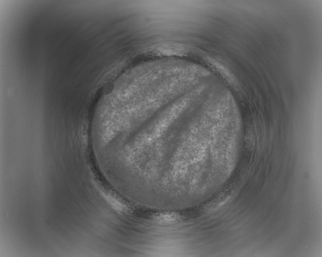 X0000073840402200608311940