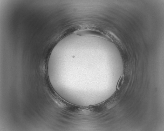 X0000073840405200608311940