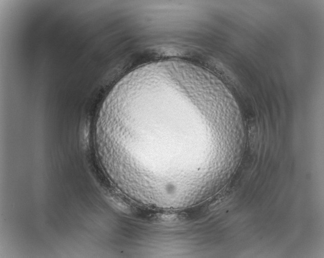 X0000073840406200608311940