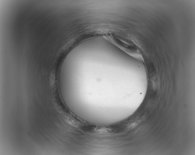 X0000073840407200608311940