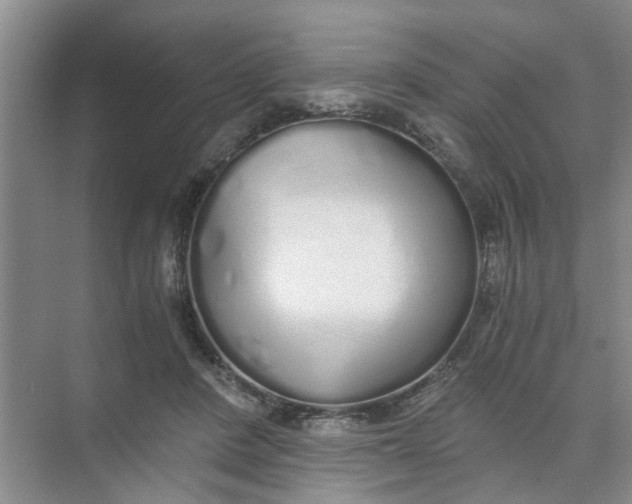 X0000073840408200608311940