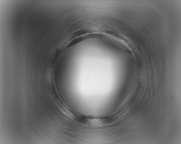 X0000073840409200608311940