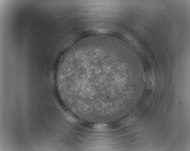 X0000073840410200608311940