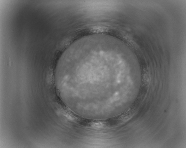 X0000073840411200608311940