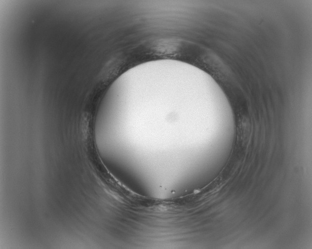 X0000073840412200608311940