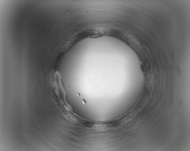 X0000073840413200608311940