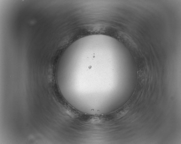 X0000073840416200608311940