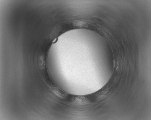 X0000073840420200608311940