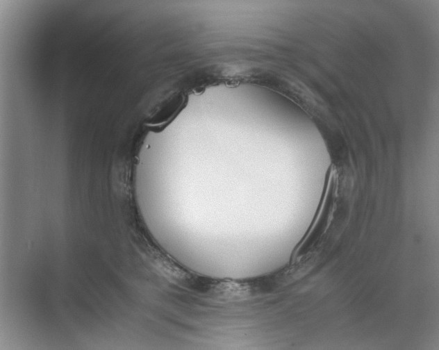 X0000073840421200608311940