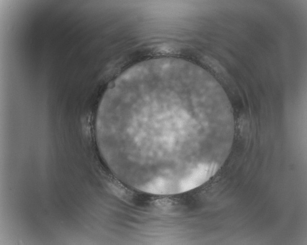 X0000073840423200608311939