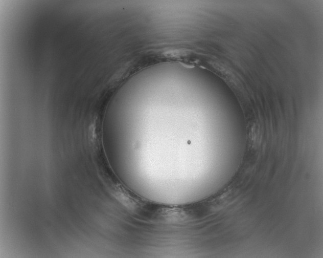 X0000073840424200608311939