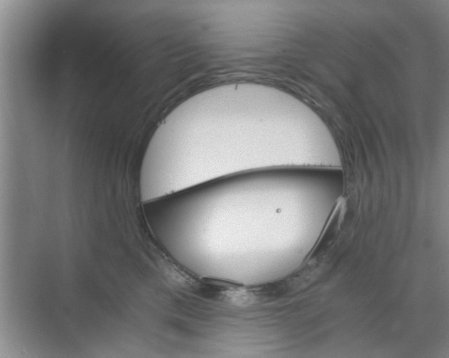 X0000073840425200608311939