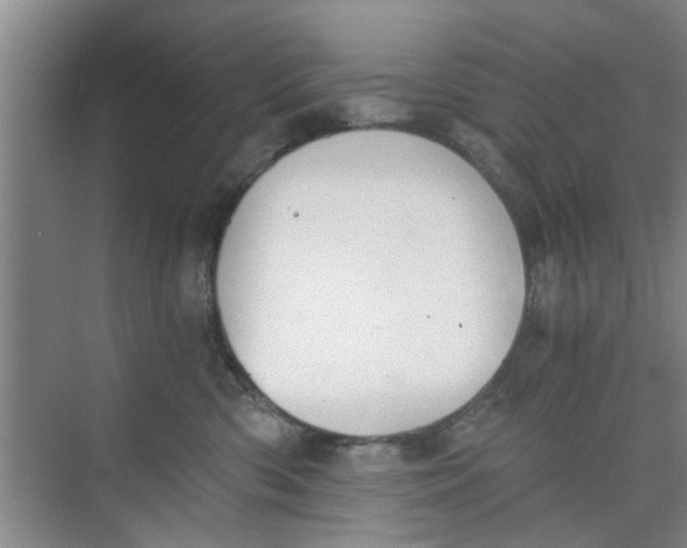 X0000073840426200608311939