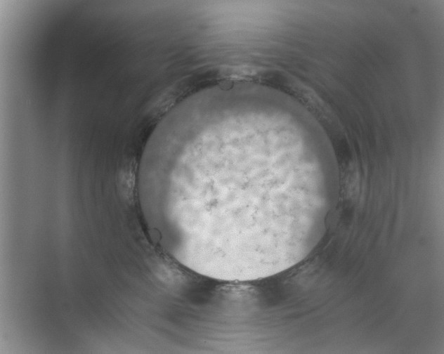 X0000073840427200608311939