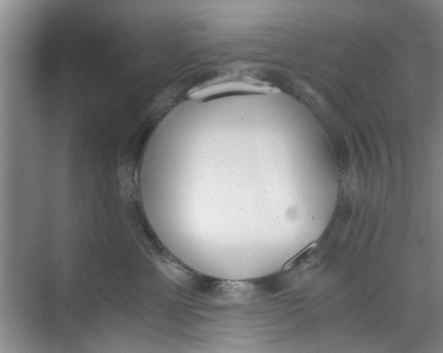 X0000073840429200608311939