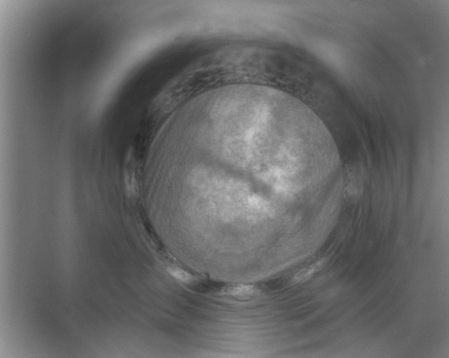 X0000073840431200608311939