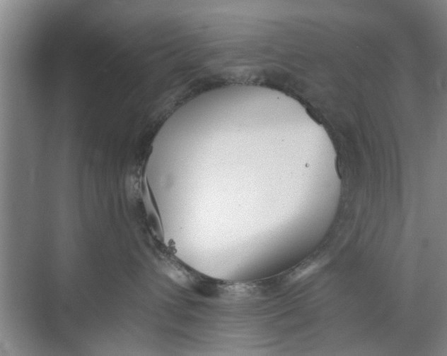 X0000073840432200608311939