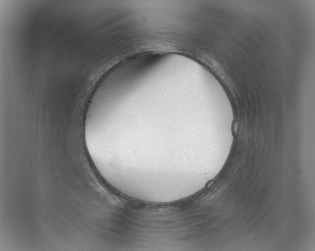 X0000073840433200608311939