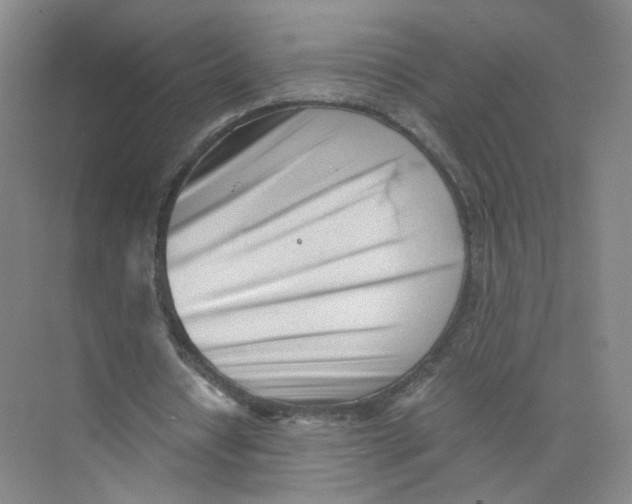 X0000073840434200608311939