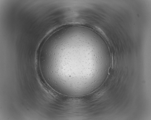 X0000073840435200608311939