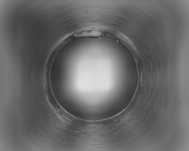 X0000073840436200608311939