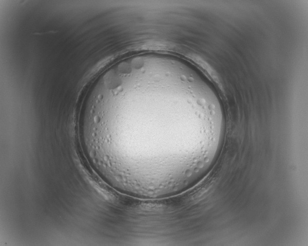 X0000073840437200608311939