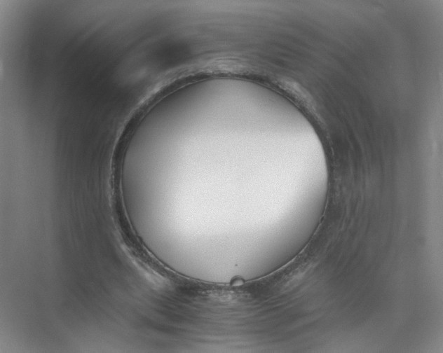 X0000073840439200608311939