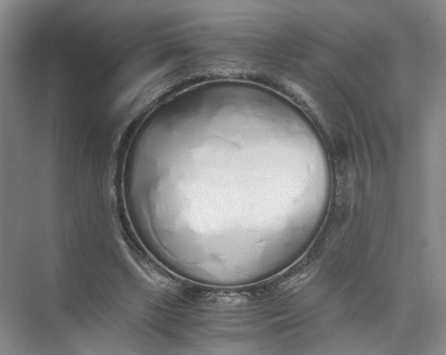 X0000073840443200608311939