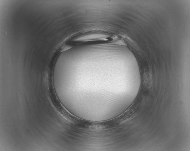 X0000073840444200608311939