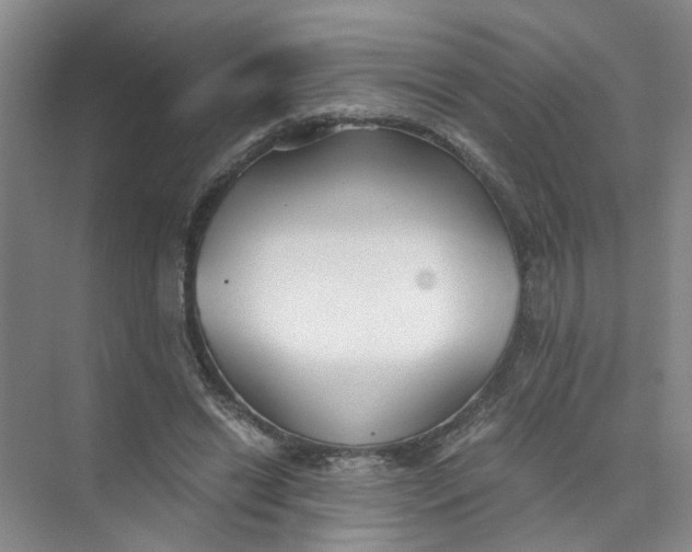 X0000073840446200608311939