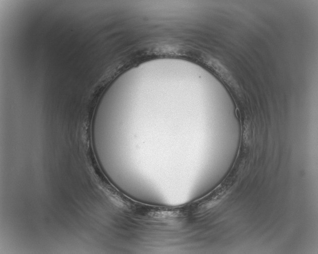 X0000073840449200608311939