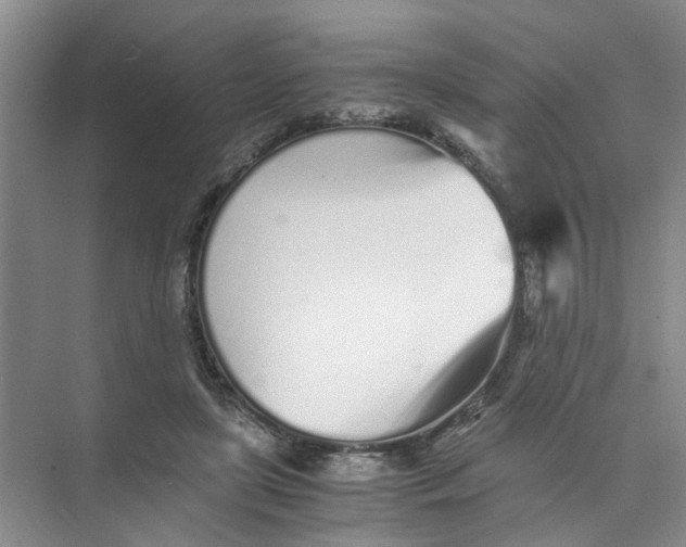 X0000073840451200608311939