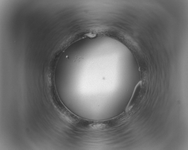 X0000073840452200608311939