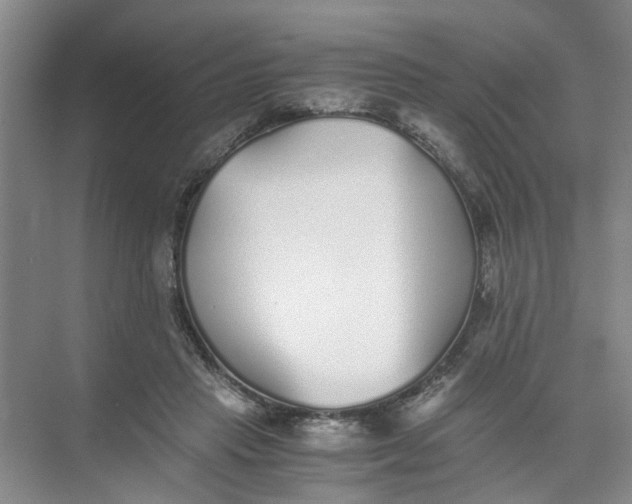 X0000073840453200608311939