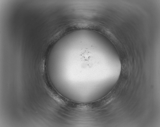 X0000073840454200608311939