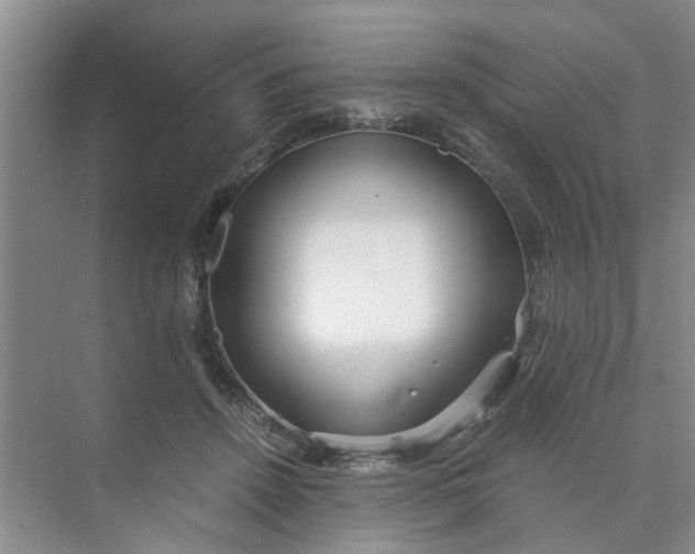 X0000073840456200608311939