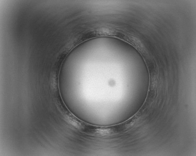 X0000073840457200608311939