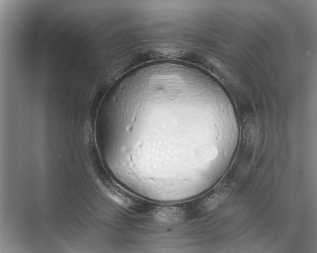 X0000073840459200608311939