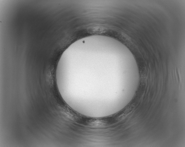 X0000073840460200608311939