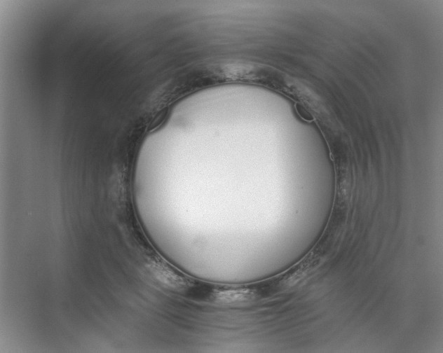 X0000073840461200608311939