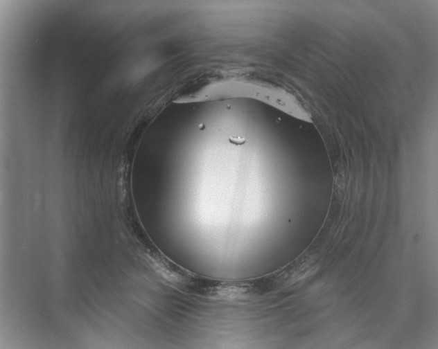 X0000073840462200608311939