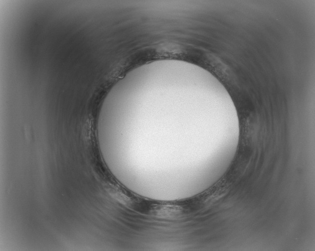 X0000073840463200608311939