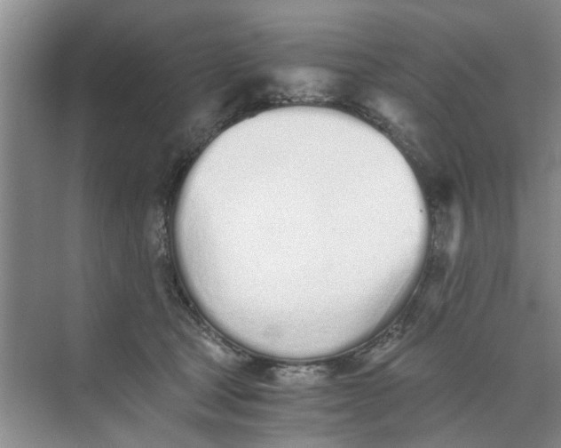 X0000073840465200608311939