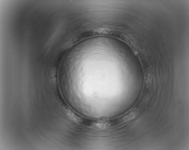 X0000073840466200608311939